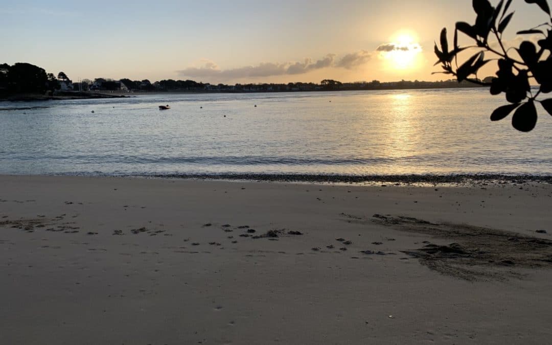 Arrivée du printemps, vive les beaux jours