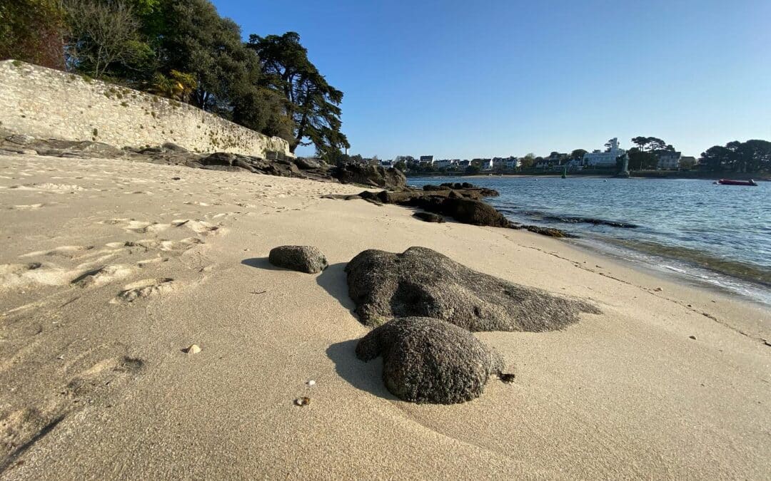 Parenthèse et moment suspendu, la nature le meilleur remède pour…