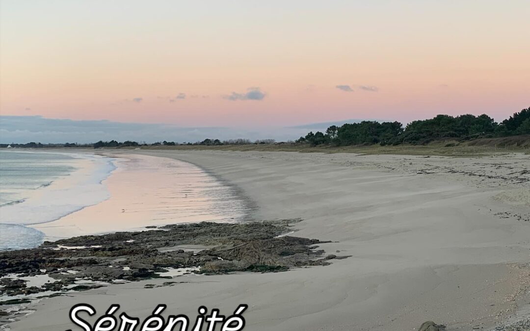 Nouvelle actualité…